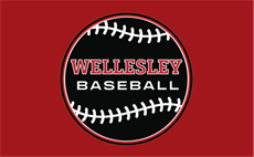 2026 Spring Baseball Overview