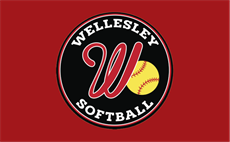 2025 Girls Softball Overview