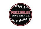 Baseball Evaluation Info
